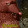 Ratatouille