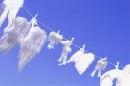 dry wings