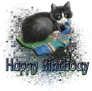 Happy Bday