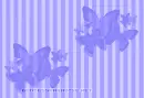 Purple Butterflies
