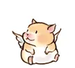 cute angelic hamster