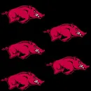 RAZORBACKS