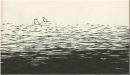 feet in water
