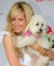ashley tisdale with blondie 