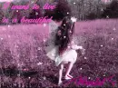 fairy