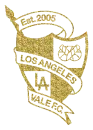 vale fc 