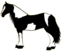 Paint Horse