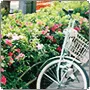 bicycle built for one