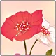 spring pink