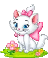 sweet kitty