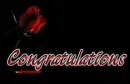 congratulations