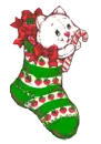 cute kitty