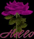 Hello