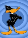 Daffy