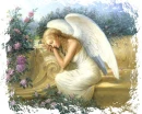 gardin angel