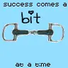 bit