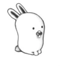 Bunny 