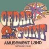 ceadr point