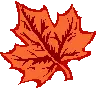Leaf (left)