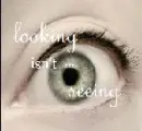 looking isn't seeing