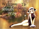 Shinobi Way