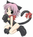 Ichigo Kitten