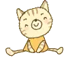 cute cat