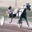 Harness Racing