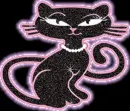 black cat