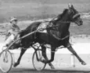 Harness Racing