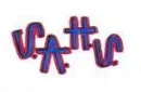 S.A.H.S. ONLiNE NOW iCON
