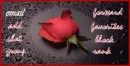 Rose Contact Box