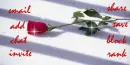 Rose Contact Box #2