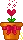 pot
