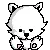kitty