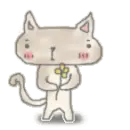 cat and flower
