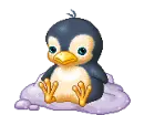 cute Penguin