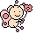 baby butterfly