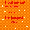 I put my cat in a box...