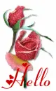 Hello