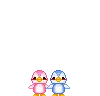 pinguins