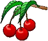 cherries