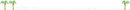 palm tree