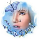 blue butterfly