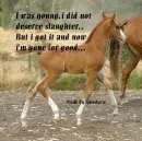 stop slaughter