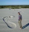 WTF?