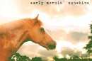 Early Mornin' Sunshine Horse