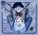 fairy blue