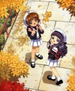 sakura & tomoyo