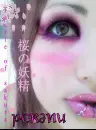 faerie of sakura